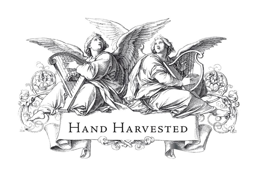 hh_logo